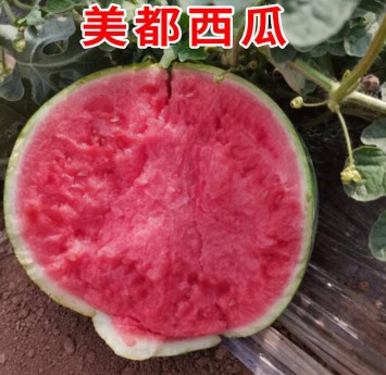 UC截图20221207144315.jpg